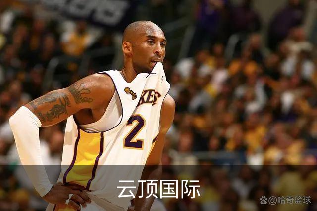 云顶国际公司简介图片